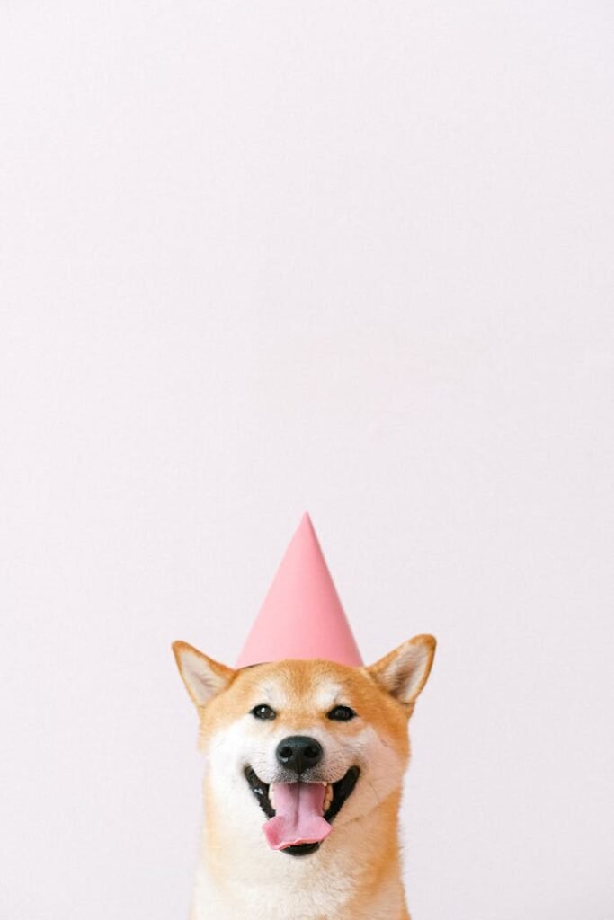 Cute Dog Wearing a Party Hat